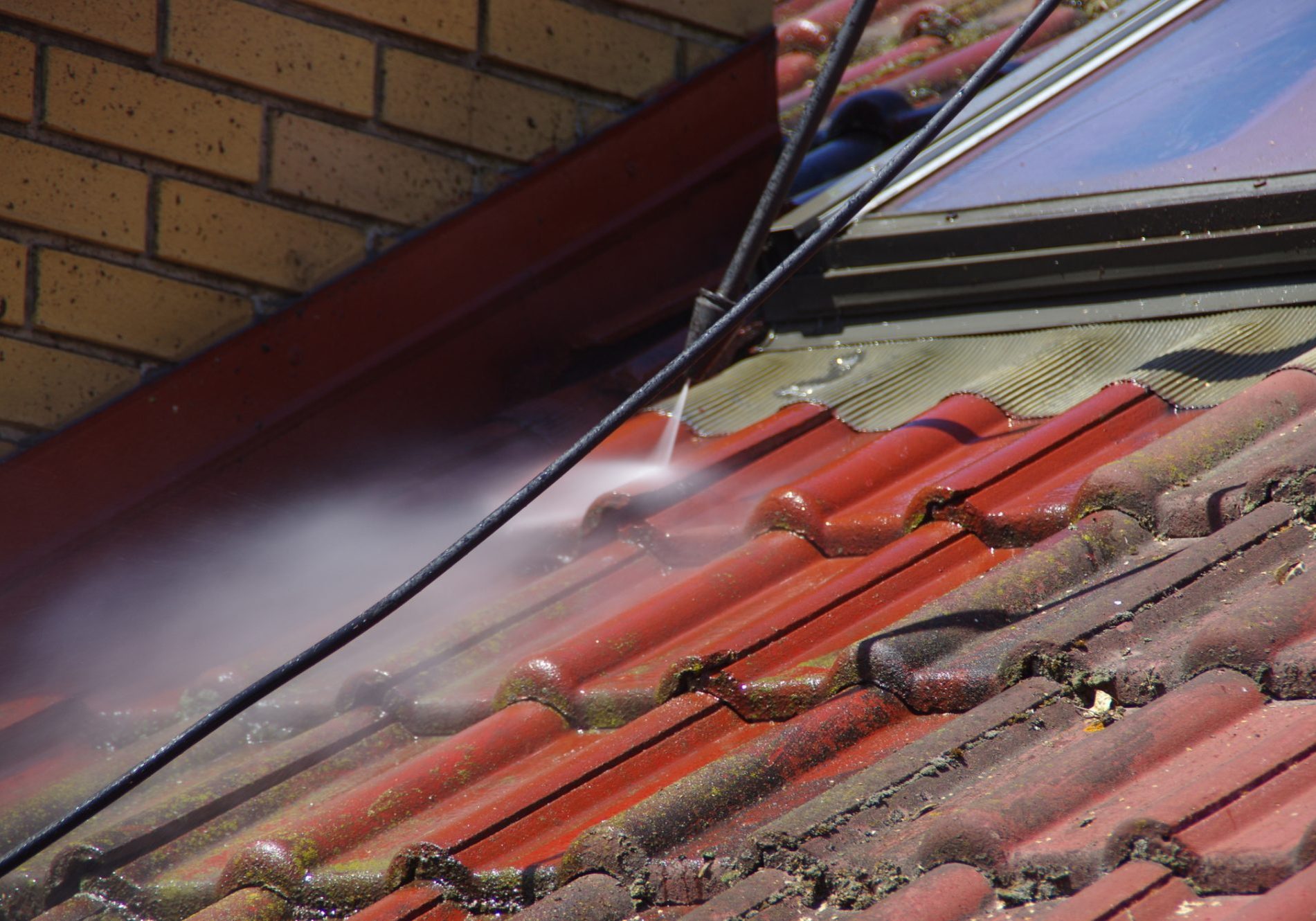 roof cleaning