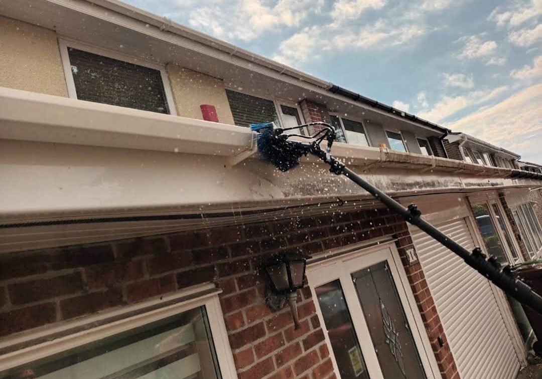 gutter cleaning