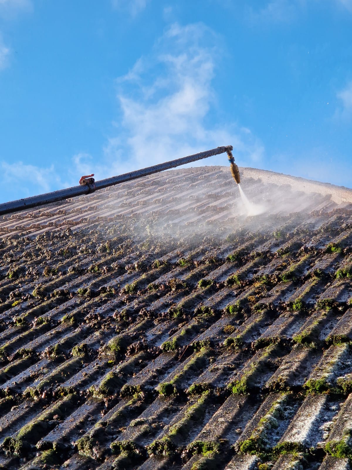 roof cleaning