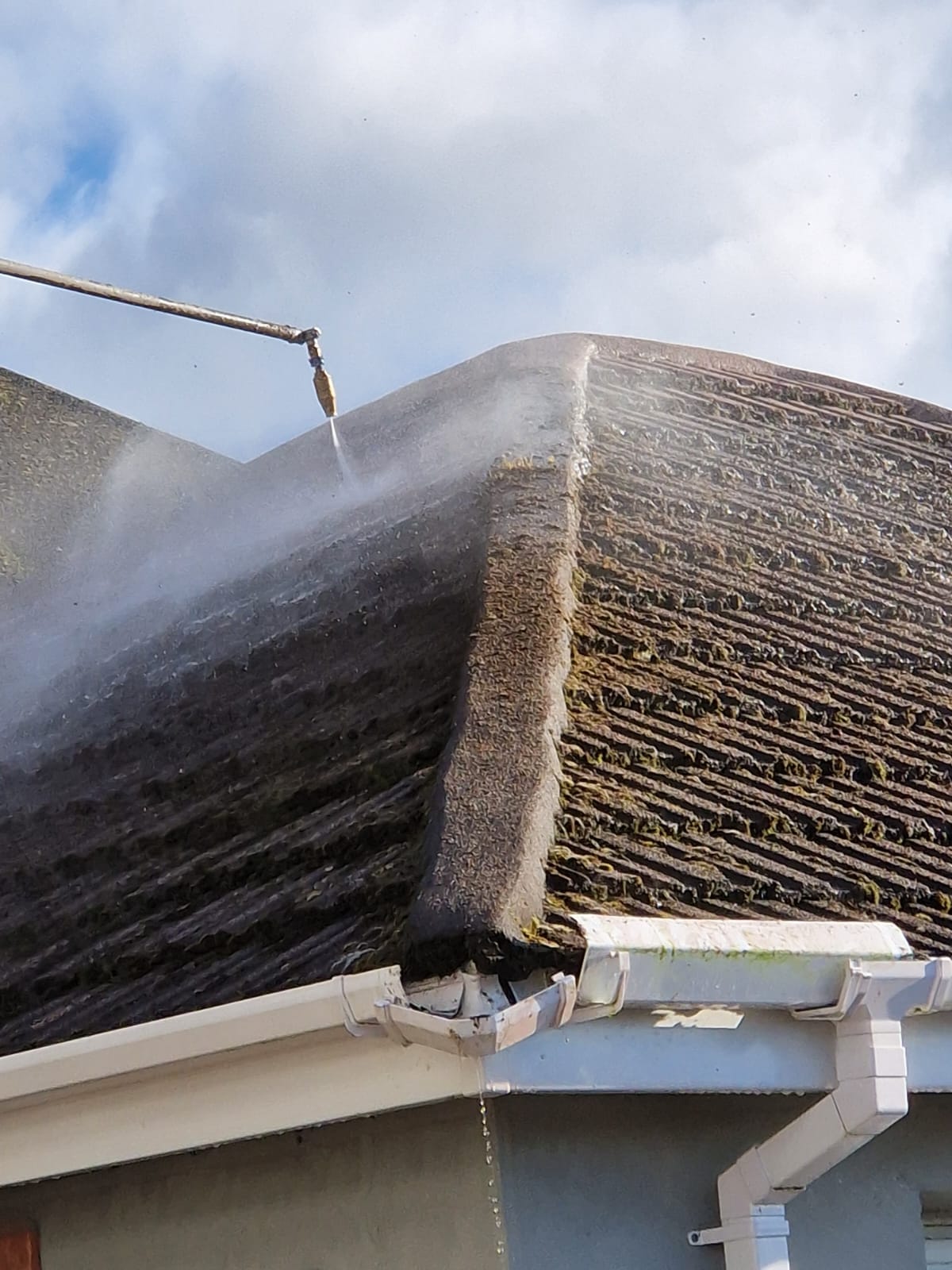 roof cleaning